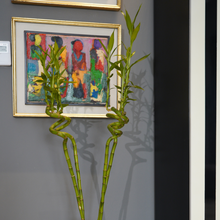 Load image into Gallery viewer, Lucky Bamboo 70 cm - Planterior Shop
